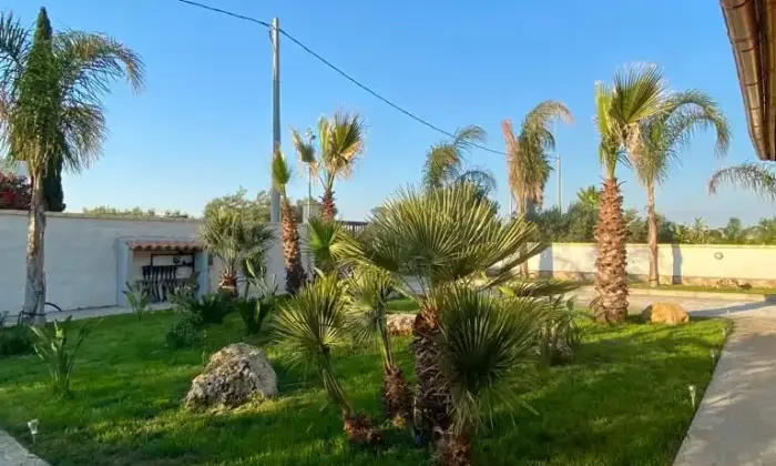 Rexer-Castelvetrano-Residenza-nelle-vicinanze-di-Selinunte-e-Marinella-Giardino