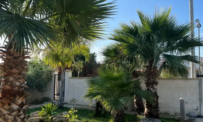 Rexer-Castelvetrano-Residenza-nelle-vicinanze-di-Selinunte-e-Marinella-Giardino