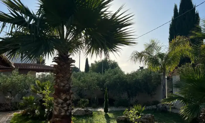 Rexer-Castelvetrano-Residenza-nelle-vicinanze-di-Selinunte-e-Marinella-Giardino