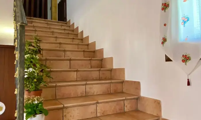 Rexer-Castelvetrano-Residenza-nelle-vicinanze-di-Selinunte-e-Marinella-Altro