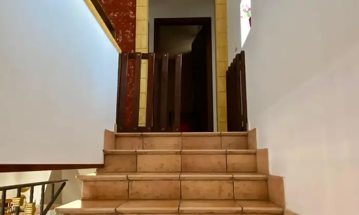Rexer-Castelvetrano-Residenza-nelle-vicinanze-di-Selinunte-e-Marinella-Altro