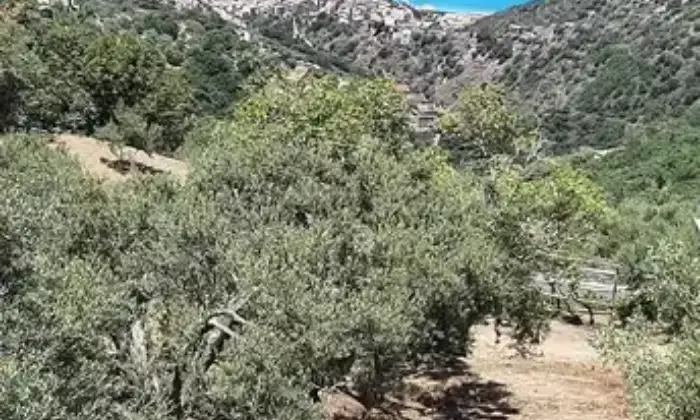 Rexer-Gioiosa-Marea-N-Immobili-bipiano-indipendenti-Terrazzo