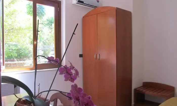 Rexer-Briatico-Camere-per-vacanza-in-Calabria-Altro