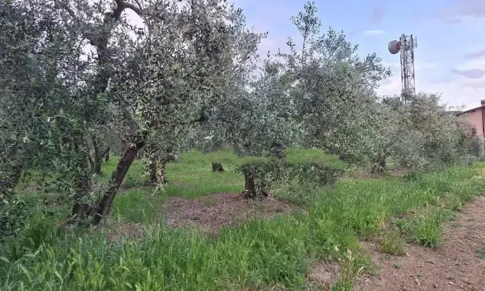 Rexer-Marsciano-Vendesi-Propriet-rustica-in-via-Giacomo-Matteoti-a-Marsciano-Terrazzo