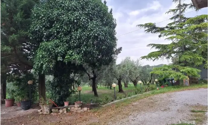 Rexer-Marsciano-Vendesi-Propriet-rustica-in-via-Giacomo-Matteoti-a-Marsciano-Giardino