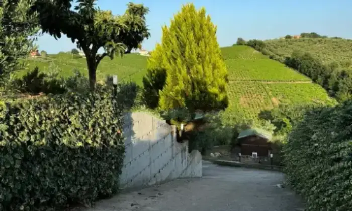 Rexer-Francavilla-al-Mare-Vendesi-villa-in-Contrada-Castelvecchio-Francavilla-al-Mare-Giardino