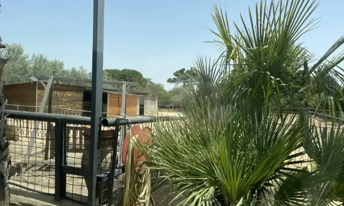 Rexer-Piazza-Armerina-Casa-in-campagna-Terrazzo