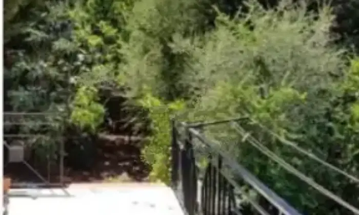 Rexer-Altofonte-Villa-in-vendita-in-via-Poggio-San-Francesco-ad-Altofonte-Giardino