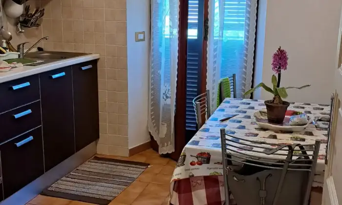 Rexer-Tresana-Semindipendente-nella-frazione-di-Groppo-MS-Altro