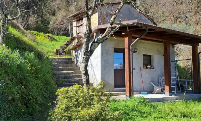 Rexer-Tresana-Semindipendente-nella-frazione-di-Groppo-MS-Altro