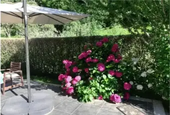 Rexer-Lillianes-Vendesi-appartamento-in-localit-Le-They-DessousLillianes-Giardino