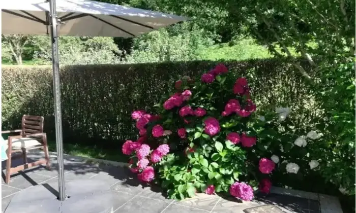 Rexer-Lillianes-Vendesi-appartamento-in-localit-Le-They-DessousLillianes-Giardino