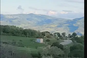 Rexer-Palata-Rustico-con-mq-di-terreno-Terrazzo