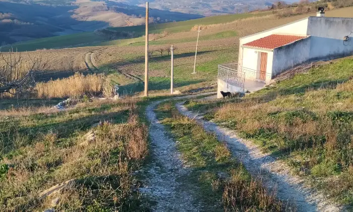 Rexer-Tavenna-Casetta-immersa-nel-verde-tra-noccioli-e-olivi-Terrazzo