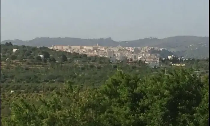 Rexer-Noto-Villa-bifamiliare-Sp-Noto-Giardino