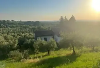 Rexer-Moricone-Villa-in-vendita-in-via-delle-More-a-Moricone-Terrazzo