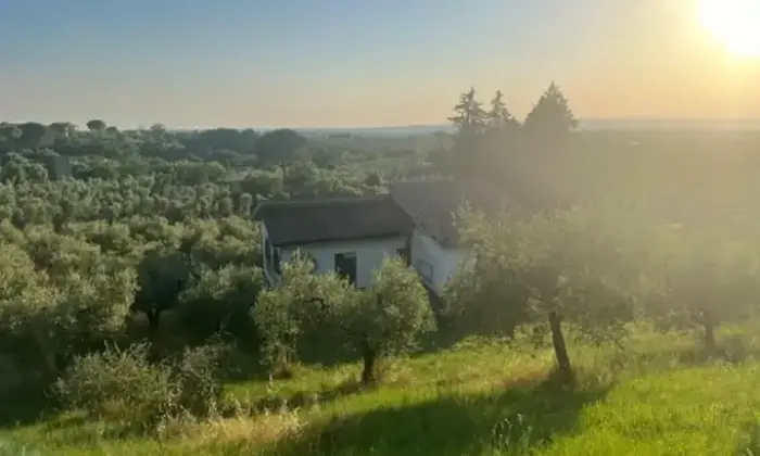 Rexer-Moricone-Villa-in-vendita-in-via-delle-More-a-Moricone-Terrazzo