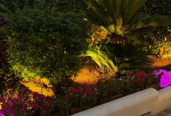 Rexer-Porto-Cesareo-Vendesi-villetta-in-Villaggio-Residenziale-Chiusurelle-a-Porto-Cesareo-Giardino