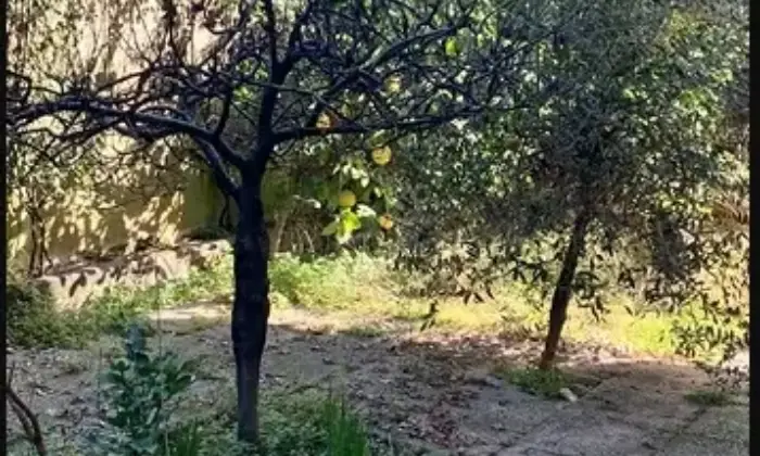 Rexer-Montignoso-Appartamento-in-vendita-in-via-Saponiera-a-Montignoso-Terrazzo