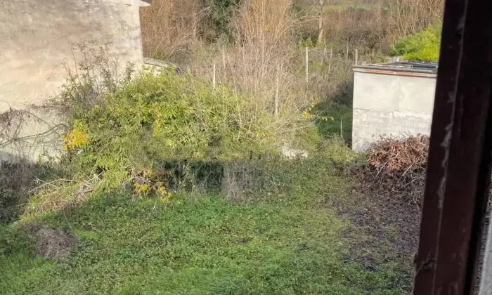 Rexer-Casatico-Cascina-in-vendita-in-via-Fiume-Casatico-Marcaria-Giardino