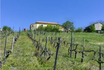 Rexer-Lauria-Vendesi-Propriet-rustica-in-via-Timparossa-a-Lauria-Terrazzo