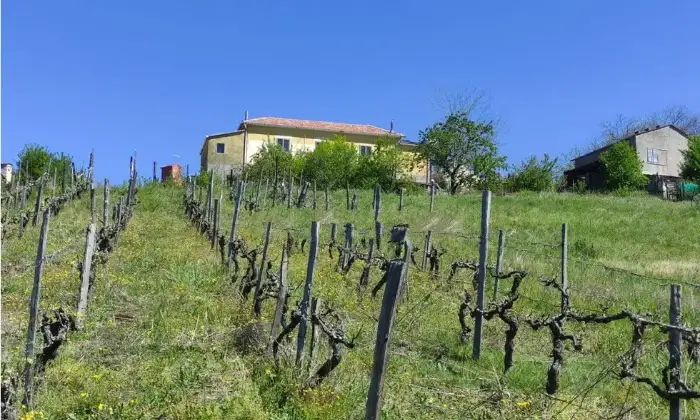 Rexer-Lauria-Vendesi-Propriet-rustica-in-via-Timparossa-a-Lauria-Terrazzo