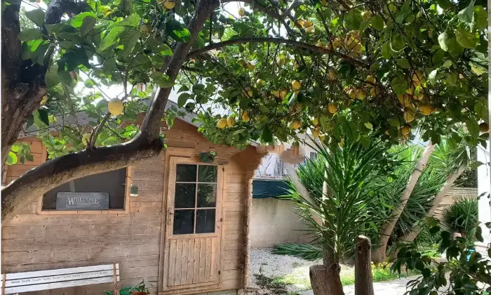 Rexer-Brindisi-Vendesi-Villa-zona-Sciaia-Brindisi-appartamenti-Terrazzo