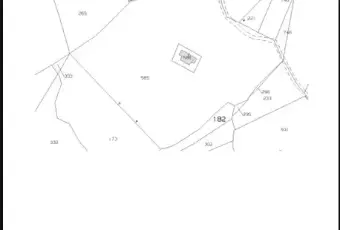 Rexer-Vietri-di-Potenza-A-VIETRI-DI-POTENZA-uliveto-e-vigneto-su-mq-di-terreno-con-casa-rurale-TOTALMENTE-DA-RISTRUTTURARE-o-abbattere-e-RICOSTRUIRE-Altro