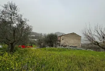 Rexer-Vietri-di-Potenza-A-VIETRI-DI-POTENZA-uliveto-e-vigneto-su-mq-di-terreno-con-casa-rurale-TOTALMENTE-DA-RISTRUTTURARE-o-abbattere-e-RICOSTRUIRE-Altro