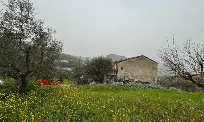 Rexer-Vietri-di-Potenza-A-VIETRI-DI-POTENZA-uliveto-e-vigneto-su-mq-di-terreno-con-casa-rurale-TOTALMENTE-DA-RISTRUTTURARE-o-abbattere-e-RICOSTRUIRE-Altro