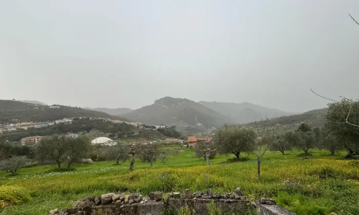 Rexer-Vietri-di-Potenza-A-VIETRI-DI-POTENZA-uliveto-e-vigneto-su-mq-di-terreno-con-casa-rurale-TOTALMENTE-DA-RISTRUTTURARE-o-abbattere-e-RICOSTRUIRE-Altro