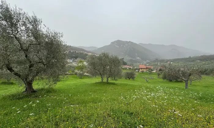 Rexer-Vietri-di-Potenza-A-VIETRI-DI-POTENZA-uliveto-e-vigneto-su-mq-di-terreno-con-casa-rurale-TOTALMENTE-DA-RISTRUTTURARE-o-abbattere-e-RICOSTRUIRE-Altro