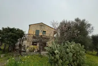 Rexer-Vietri-di-Potenza-A-VIETRI-DI-POTENZA-uliveto-e-vigneto-su-mq-di-terreno-con-casa-rurale-TOTALMENTE-DA-RISTRUTTURARE-o-abbattere-e-RICOSTRUIRE-Altro