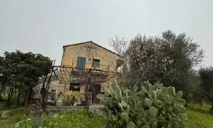 Rexer-Vietri-di-Potenza-A-VIETRI-DI-POTENZA-uliveto-e-vigneto-su-mq-di-terreno-con-casa-rurale-TOTALMENTE-DA-RISTRUTTURARE-o-abbattere-e-RICOSTRUIRE-Altro
