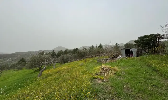 Rexer-Vietri-di-Potenza-A-VIETRI-DI-POTENZA-uliveto-e-vigneto-su-mq-di-terreno-con-casa-rurale-TOTALMENTE-DA-RISTRUTTURARE-o-abbattere-e-RICOSTRUIRE-Altro