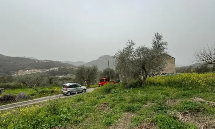 Rexer-Vietri-di-Potenza-A-VIETRI-DI-POTENZA-uliveto-e-vigneto-su-mq-di-terreno-con-casa-rurale-TOTALMENTE-DA-RISTRUTTURARE-o-abbattere-e-RICOSTRUIRE-Altro