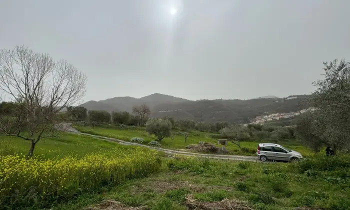Rexer-Vietri-di-Potenza-A-VIETRI-DI-POTENZA-uliveto-e-vigneto-su-mq-di-terreno-con-casa-rurale-TOTALMENTE-DA-RISTRUTTURARE-o-abbattere-e-RICOSTRUIRE-Altro