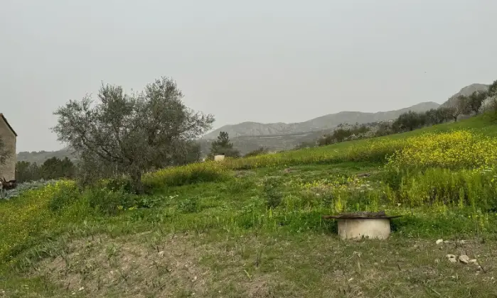 Rexer-Vietri-di-Potenza-A-VIETRI-DI-POTENZA-uliveto-e-vigneto-su-mq-di-terreno-con-casa-rurale-TOTALMENTE-DA-RISTRUTTURARE-o-abbattere-e-RICOSTRUIRE-Altro