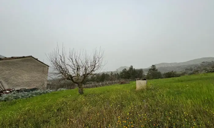 Rexer-Vietri-di-Potenza-A-VIETRI-DI-POTENZA-uliveto-e-vigneto-su-mq-di-terreno-con-casa-rurale-TOTALMENTE-DA-RISTRUTTURARE-o-abbattere-e-RICOSTRUIRE-Altro