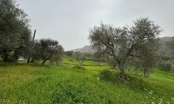 Rexer-Vietri-di-Potenza-A-VIETRI-DI-POTENZA-uliveto-e-vigneto-su-mq-di-terreno-con-casa-rurale-TOTALMENTE-DA-RISTRUTTURARE-o-abbattere-e-RICOSTRUIRE-Altro