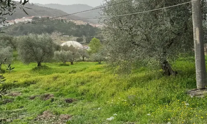 Rexer-Vietri-di-Potenza-A-VIETRI-DI-POTENZA-uliveto-e-vigneto-su-mq-di-terreno-con-casa-rurale-TOTALMENTE-DA-RISTRUTTURARE-o-abbattere-e-RICOSTRUIRE-Altro