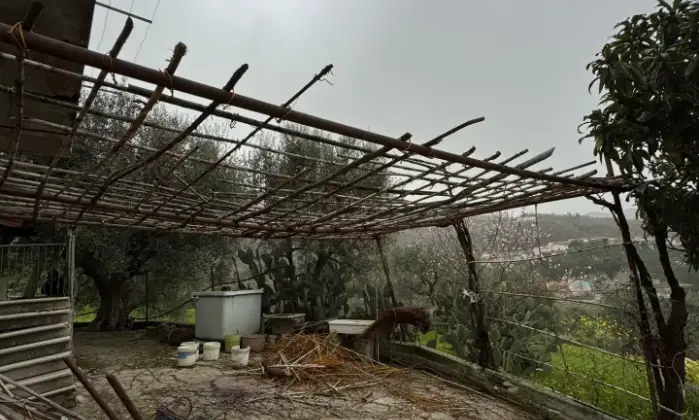 Rexer-Vietri-di-Potenza-A-VIETRI-DI-POTENZA-uliveto-e-vigneto-su-mq-di-terreno-con-casa-rurale-TOTALMENTE-DA-RISTRUTTURARE-o-abbattere-e-RICOSTRUIRE-Altro