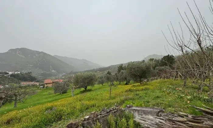 Rexer-Vietri-di-Potenza-A-VIETRI-DI-POTENZA-uliveto-e-vigneto-su-mq-di-terreno-con-casa-rurale-TOTALMENTE-DA-RISTRUTTURARE-o-abbattere-e-RICOSTRUIRE-Altro