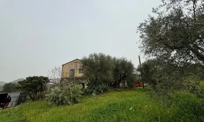 Rexer-Vietri-di-Potenza-A-VIETRI-DI-POTENZA-uliveto-e-vigneto-su-mq-di-terreno-con-casa-rurale-TOTALMENTE-DA-RISTRUTTURARE-o-abbattere-e-RICOSTRUIRE-Altro