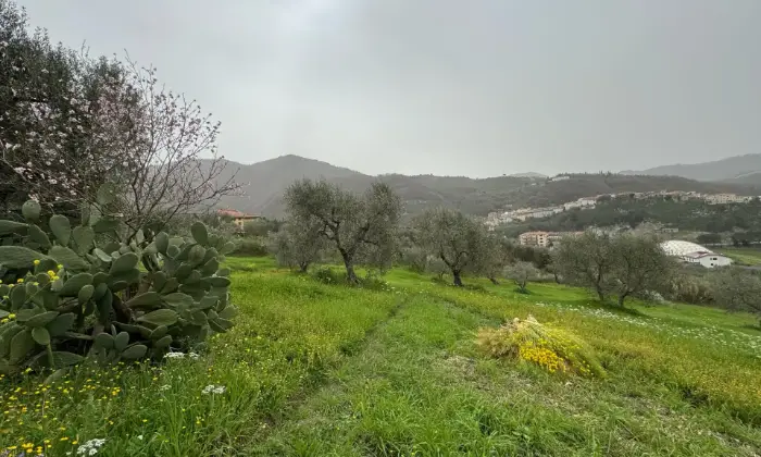 Rexer-Vietri-di-Potenza-A-VIETRI-DI-POTENZA-uliveto-e-vigneto-su-mq-di-terreno-con-casa-rurale-TOTALMENTE-DA-RISTRUTTURARE-o-abbattere-e-RICOSTRUIRE-Altro