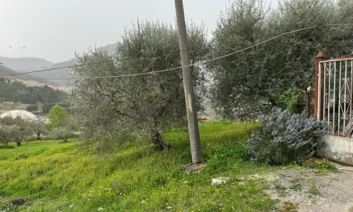 Rexer-Vietri-di-Potenza-A-VIETRI-DI-POTENZA-uliveto-e-vigneto-su-mq-di-terreno-con-casa-rurale-TOTALMENTE-DA-RISTRUTTURARE-o-abbattere-e-RICOSTRUIRE-Altro
