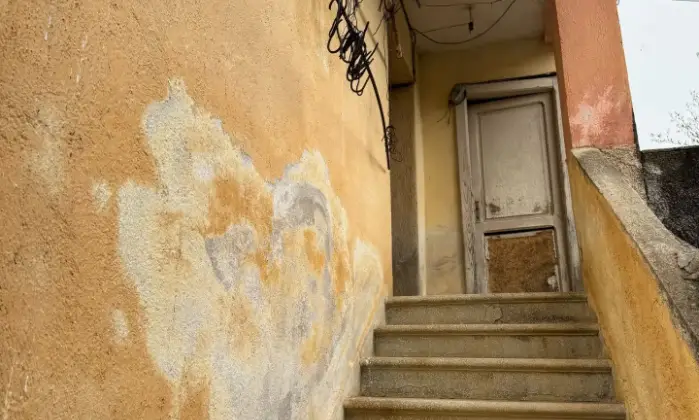 Rexer-Vietri-di-Potenza-A-VIETRI-DI-POTENZA-uliveto-e-vigneto-su-mq-di-terreno-con-casa-rurale-TOTALMENTE-DA-RISTRUTTURARE-o-abbattere-e-RICOSTRUIRE-Altro
