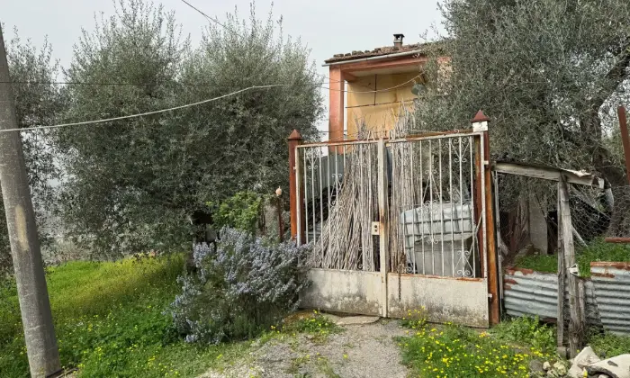 Rexer-Vietri-di-Potenza-A-VIETRI-DI-POTENZA-uliveto-e-vigneto-su-mq-di-terreno-con-casa-rurale-TOTALMENTE-DA-RISTRUTTURARE-o-abbattere-e-RICOSTRUIRE-Altro