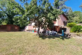 Rexer-Zagarolo-Villacasale-immersa-nel-verde-con-piscina-Giardino