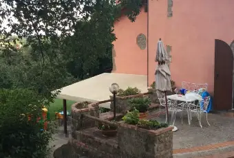 Rexer-Zagarolo-Villacasale-immersa-nel-verde-con-piscina-Giardino